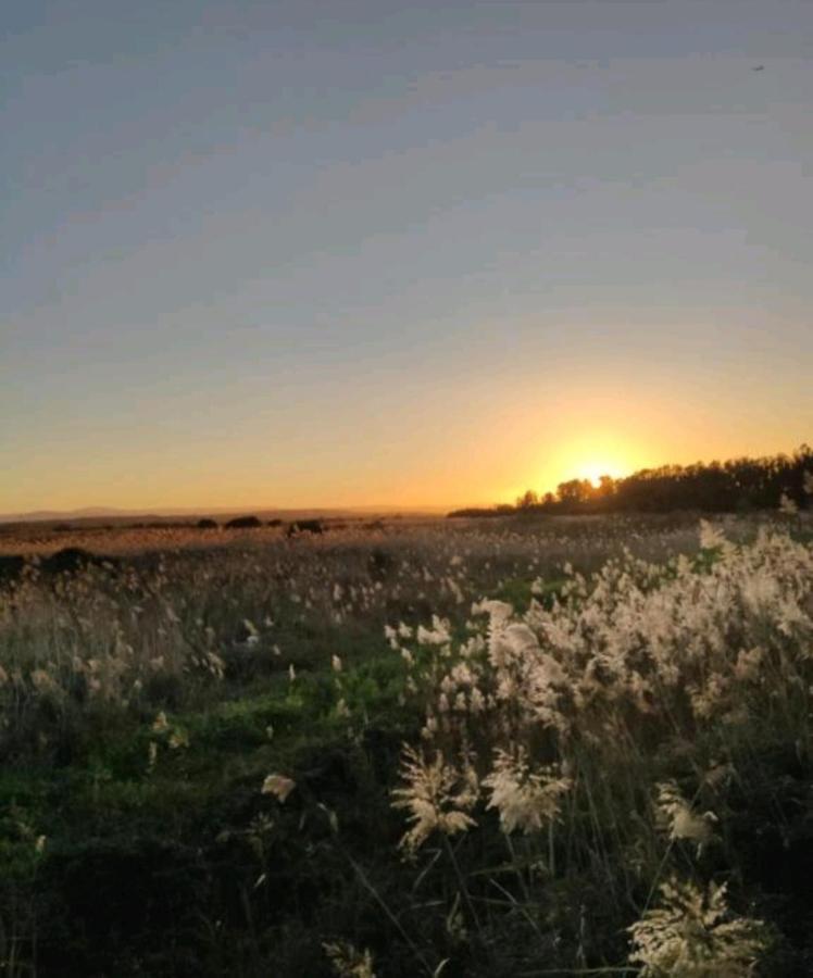 Villa Francesca Aeroporto di Catania Fontana Rossa Esterno foto